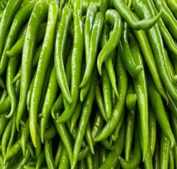 Green Chilli 100gm