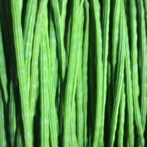 Drum Stick Per Piece