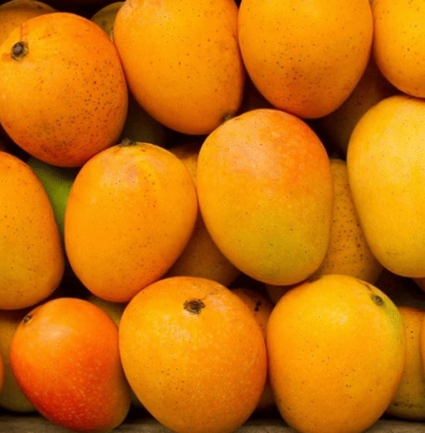 Alphonso Mango, Sweet & Fresh,  Small Box  (5-6pc)