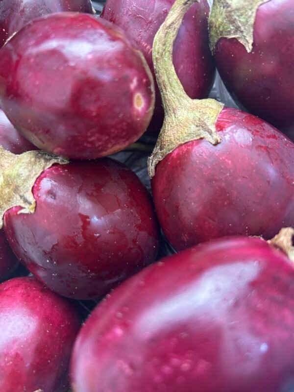 Indian Eggplant/ Bhinjal 500gm