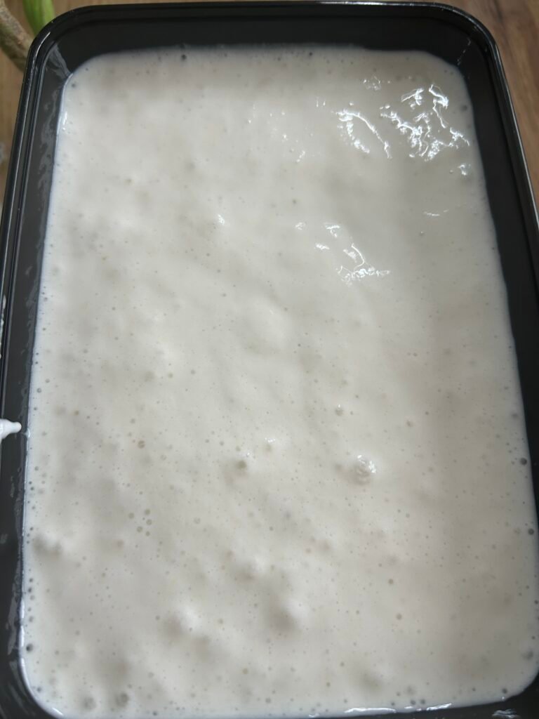 Pre-order (24hours before) Fresh Fermented Idli Dosa Batter 1Kg