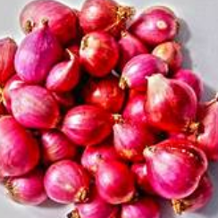 Sambhar Onion/ Mini Onion 100gm