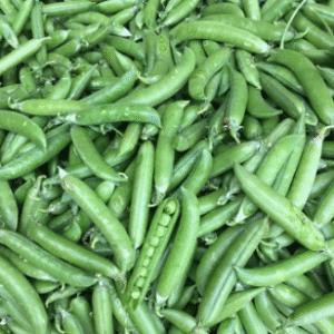 Indian Green Peas/ hari matar  250gm