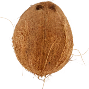 Coconut 1 pc