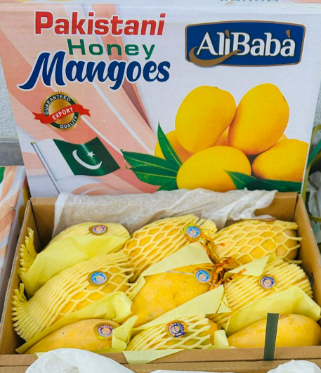 Pakistani Honey Mangoes (350-400gm)