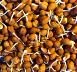 Kala Chana Sprouts 150gm