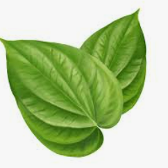 Betal Leaf 1pc