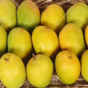 PRE_ORDER Khushi Alphonso Mangoes small box (5/6 pcs) Ratnagiri Alphonso/ Hapus (Available from 3rd May)