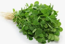 Fresh Methi Leaves 1 bunch