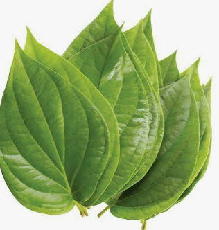Betal leaves 1pc