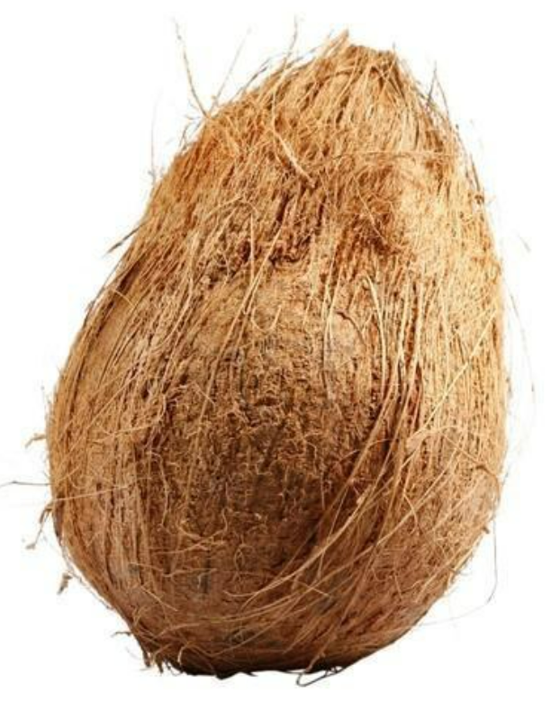 Pooja Coconut 1pc