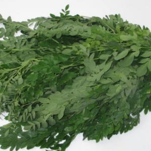 Drumsticks Leaves 1 pack (200-230gm appx)